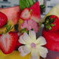 WATERMELON CUPCAKES